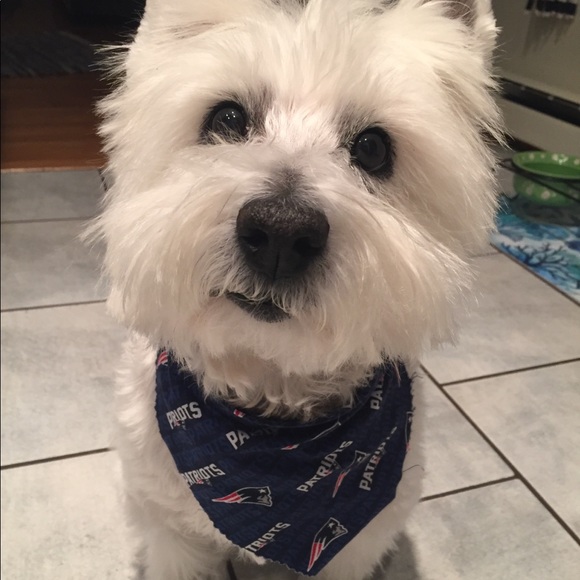 Meet your Posher, Amy - Picture 3 of 3